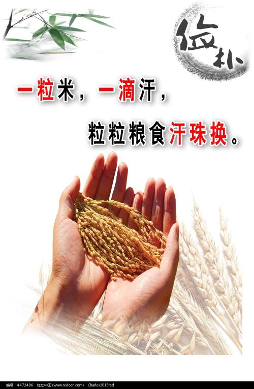 大通银行对账单假的多少钱